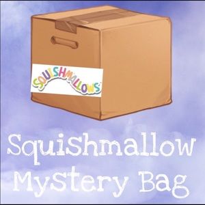 Mystery squishmallow box (little)